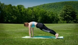 Plank Pose (Phalakasana)