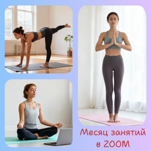 Занятия online (доступ на месяц)